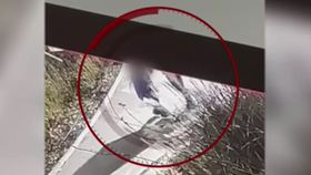 VIDEO Un bărbat din Timișoara a atacat o tânără pe stradă, după ce abia fusese eliberat de polițiști